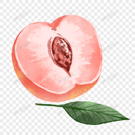 免费站看大片真人电视剧的软件下载APP应用